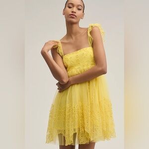 Let Me Be Eyelet Tulle Mini Dress